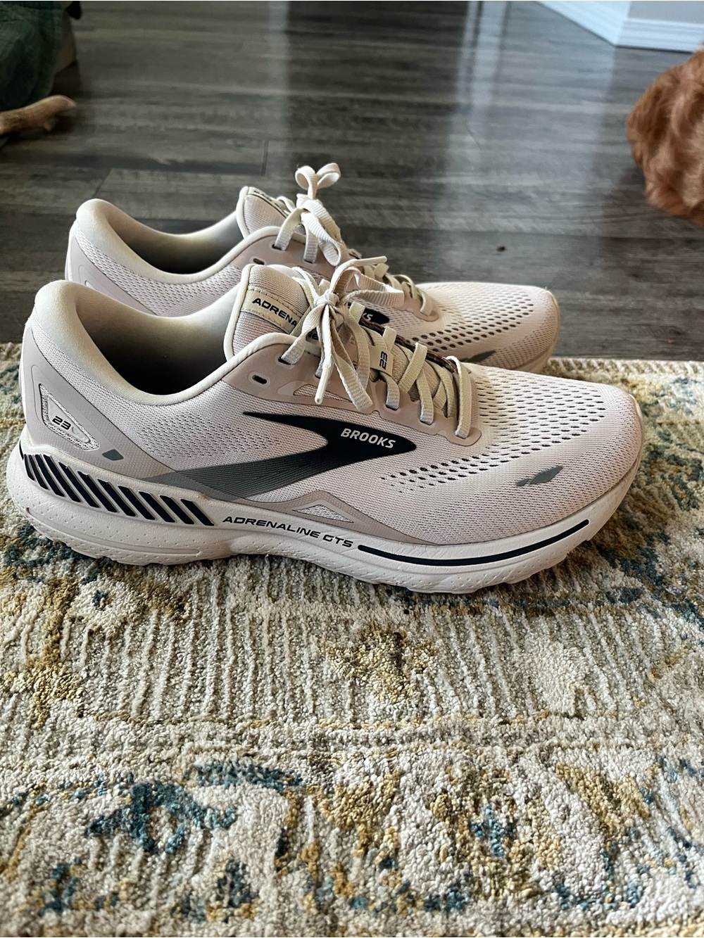 Brooks Adrenaline GTS 23 size 10